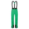 Pantalon De Ski Neuf Dare 2B Achieve II Vived Green 7